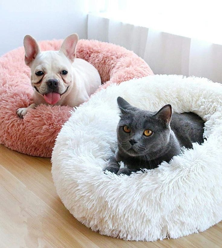 Cama para mascota. Dona antiestres