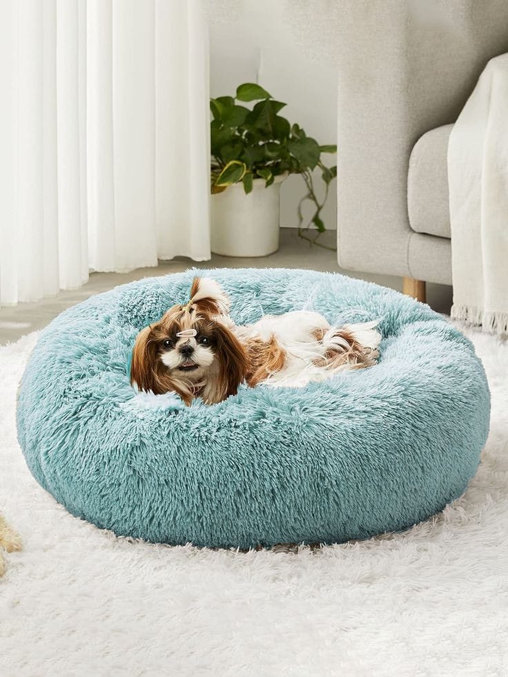 Cama para mascota. Dona antiestres