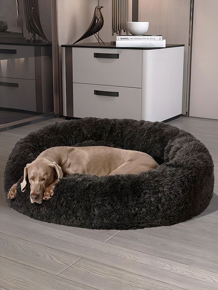 Cama para mascota. Dona antiestres