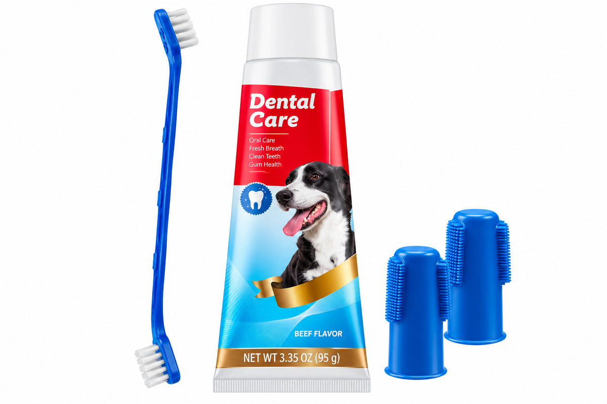 Cepillo dental kit