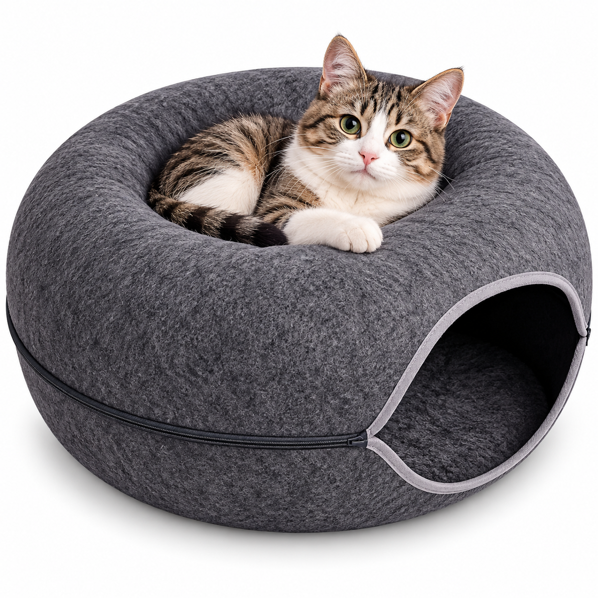 Cama Rascador Gatos