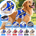 Arnés para perro. Dog Service