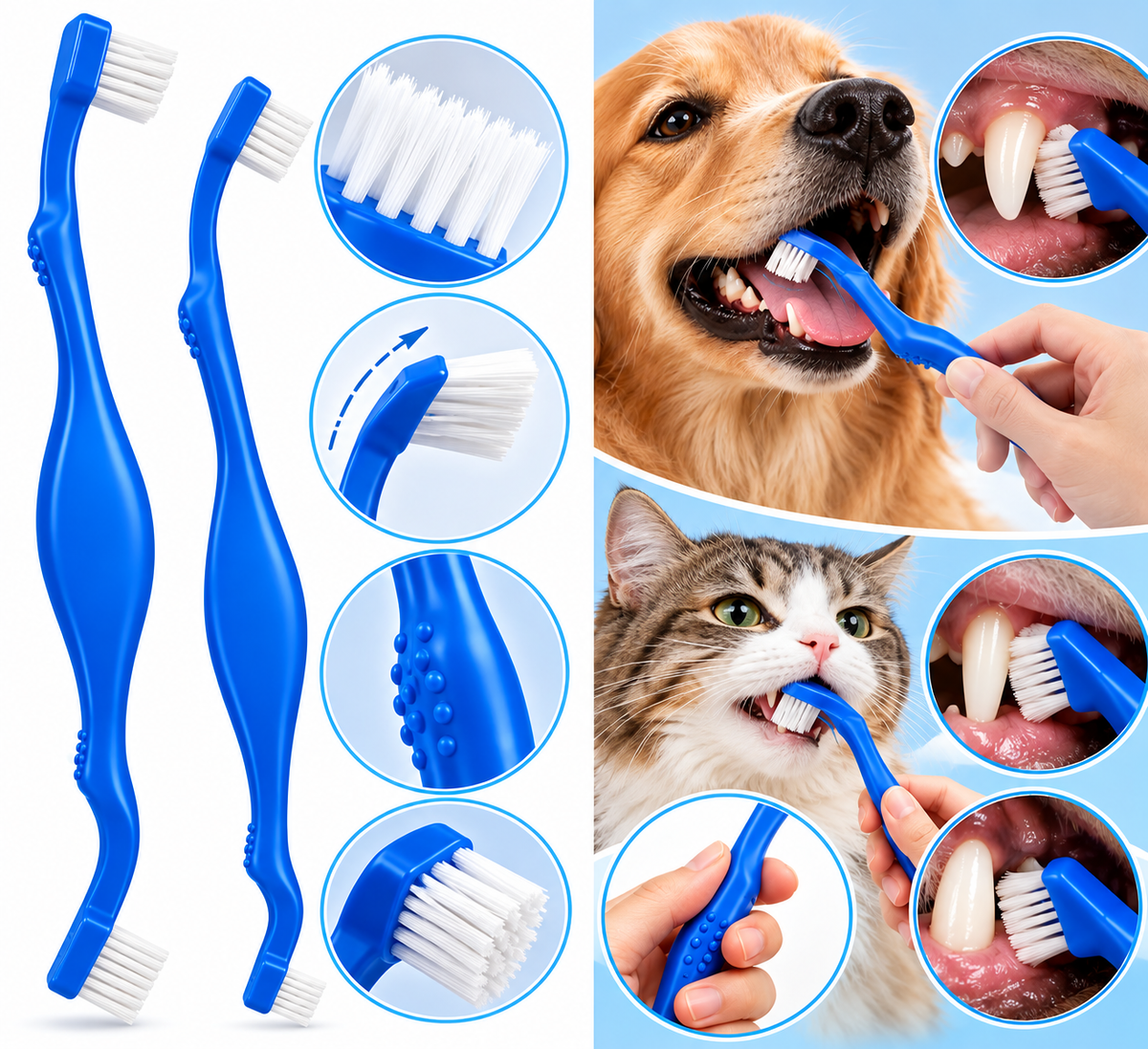 Cepillo dental