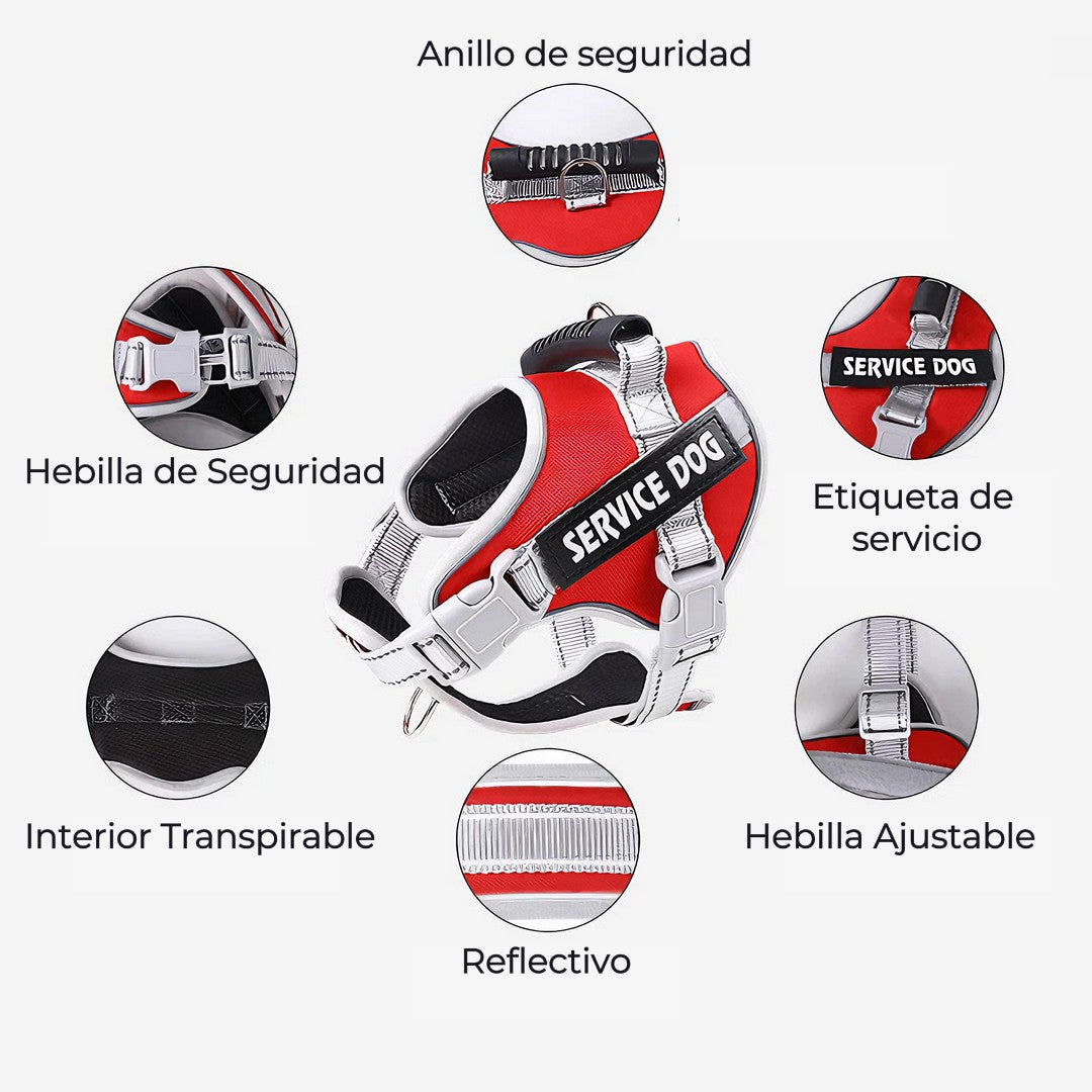 Arnes Pechera. Service Dog