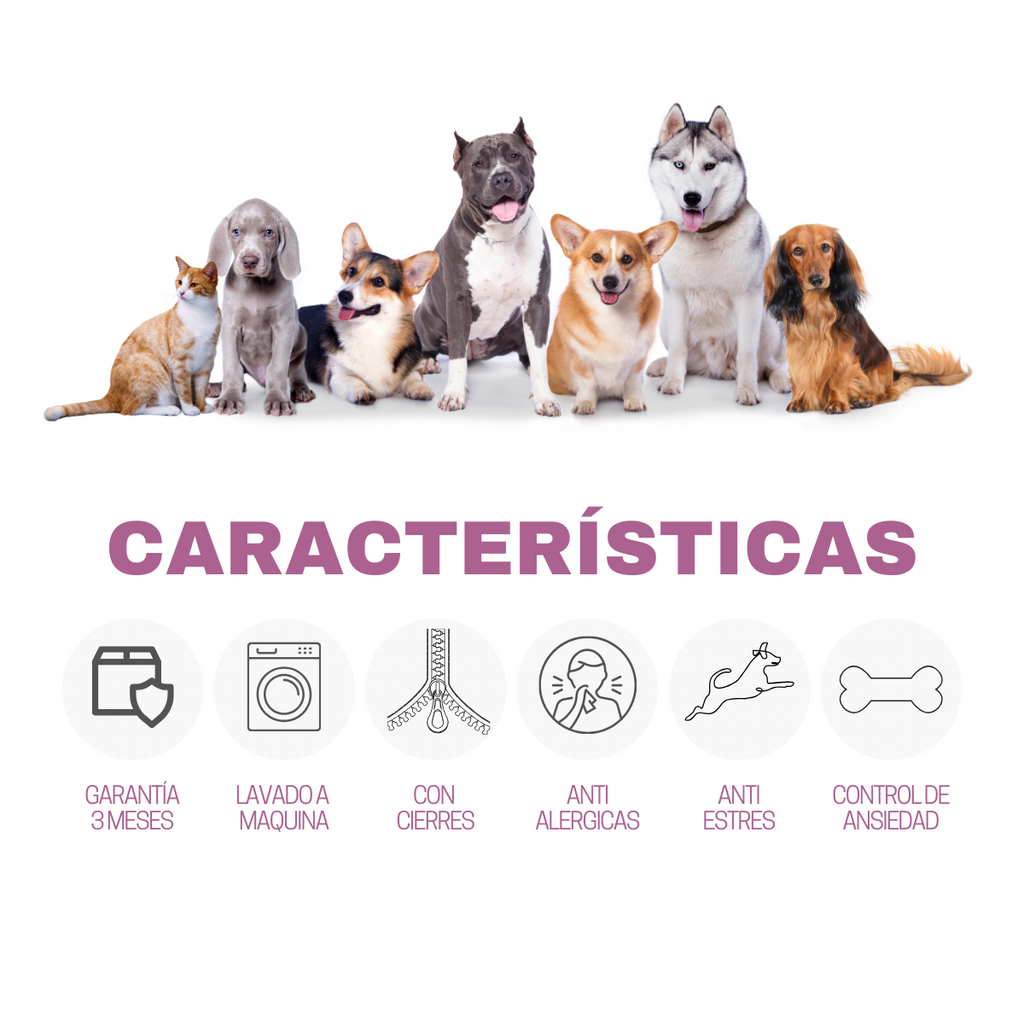 Camas tipo dona