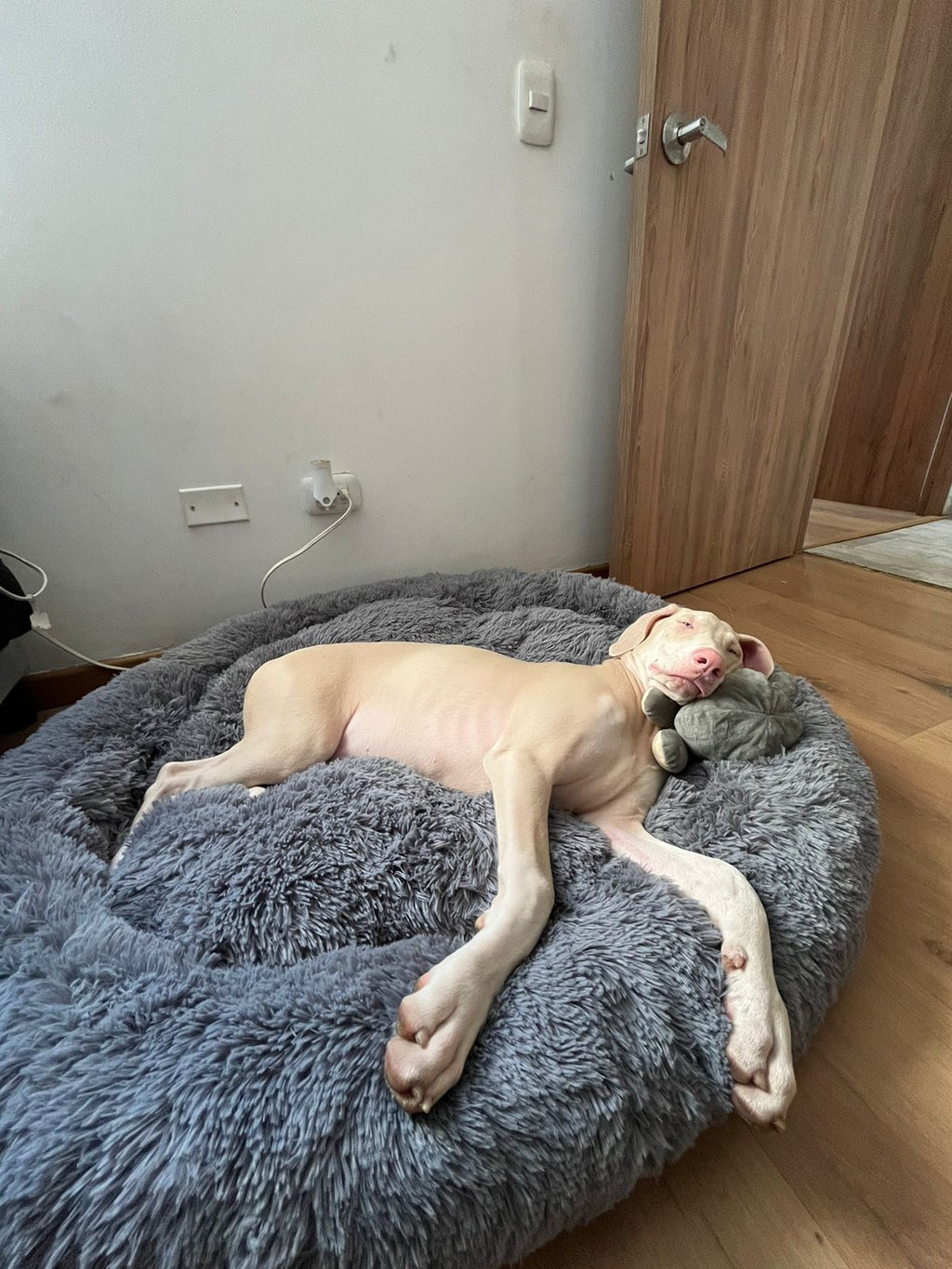 Cama tipo dona