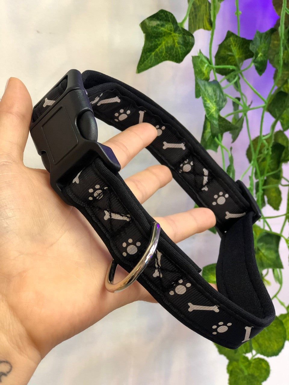 Collar perro