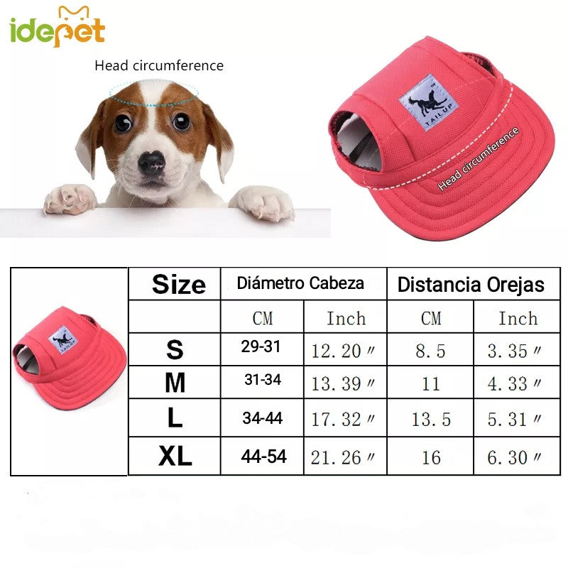 Gorra para perro